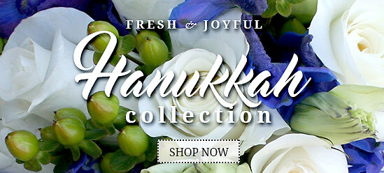 Hanukkah Banner