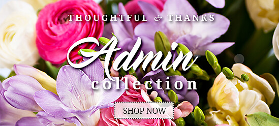 Admin Professionals Banner