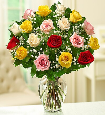 Rose Elegance&amp;trade; Premium Long Stem Assorted Roses