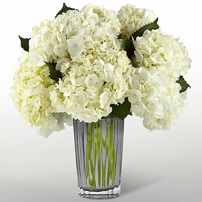 The Ivory Hydrangea Bouquet by Vera Wang